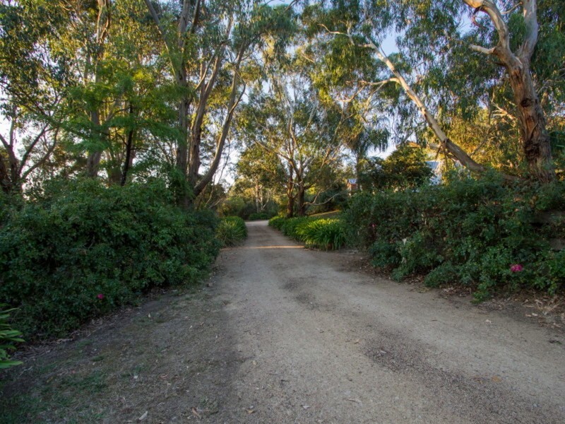 6 Pineview Lane, Hastings VIC 3915