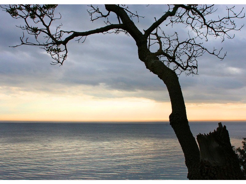 2/65 Green Island Avenue, Mount Martha VIC 3934