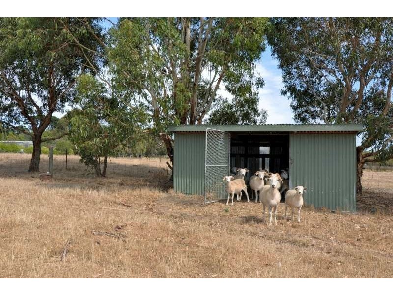 50 Sandy Point Road, Somers VIC 3927