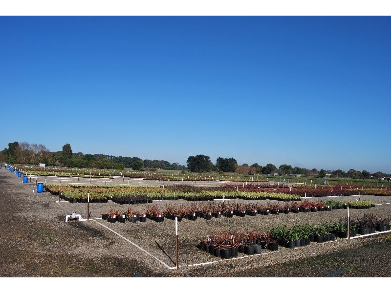 218A Coolart Rd, Moorooduc VIC 3933