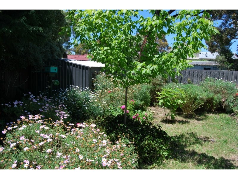 25 Van Ness Avenue, Mornington VIC 3931