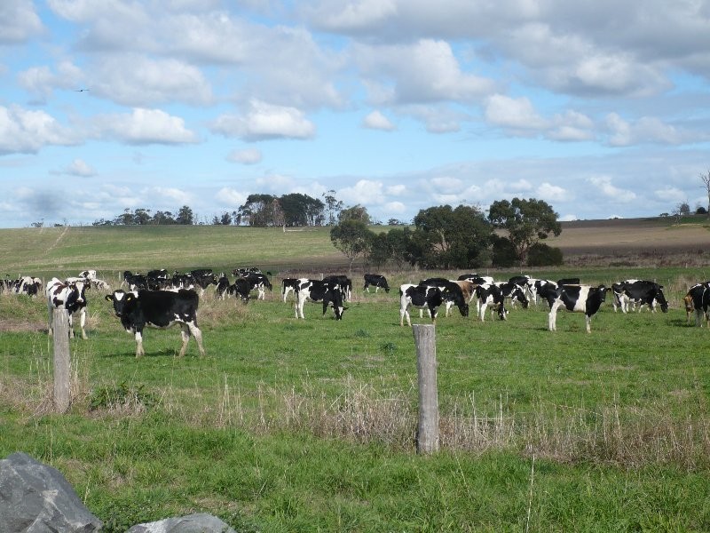 65 Tolley Road, Ripplebrook VIC 3818