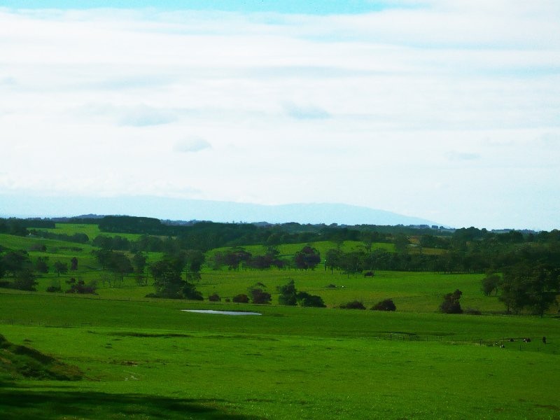 65 Tolley Road, Ripplebrook VIC 3818