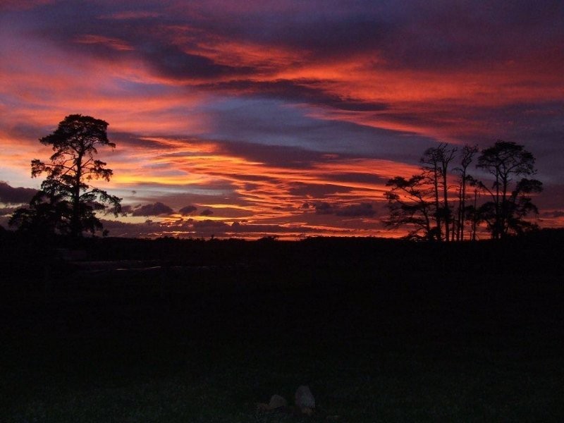 65 Tolley Road, Ripplebrook VIC 3818