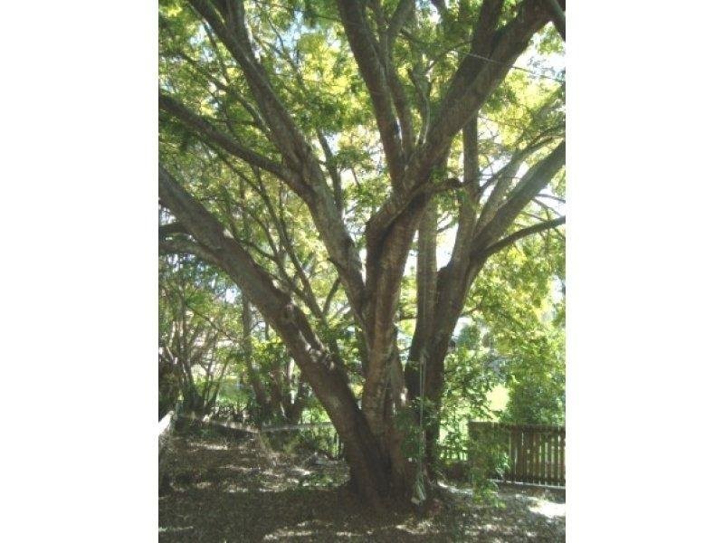 16 Gray Street, Ipswich QLD 4305