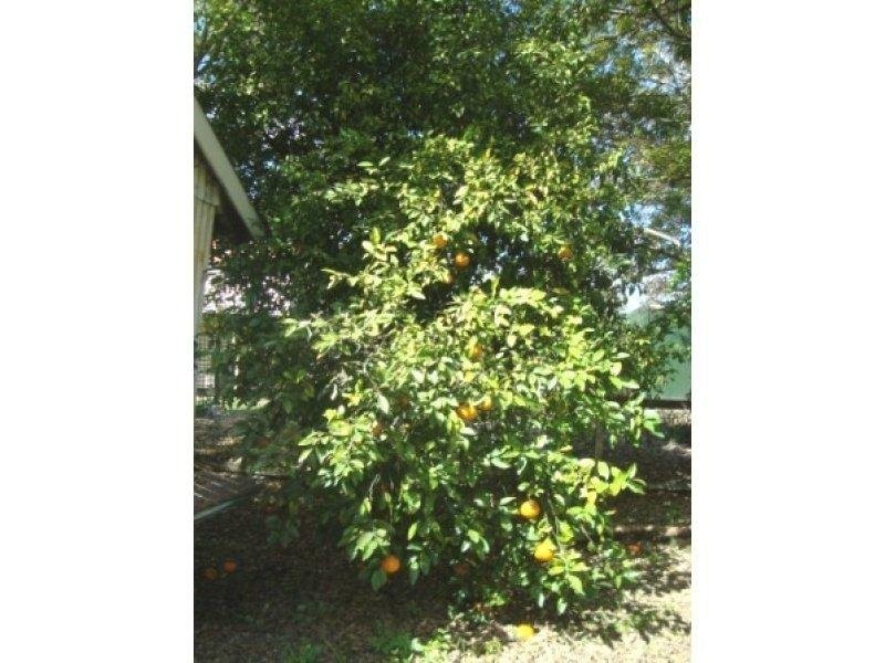 16 Gray Street, Ipswich QLD 4305