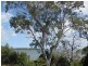 Macleay Island QLD 4184