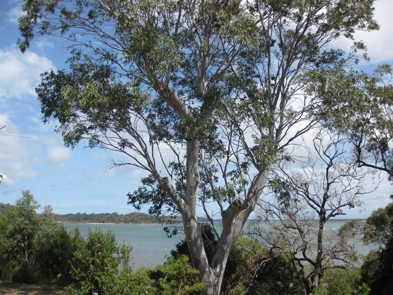 Macleay Island QLD 4184
