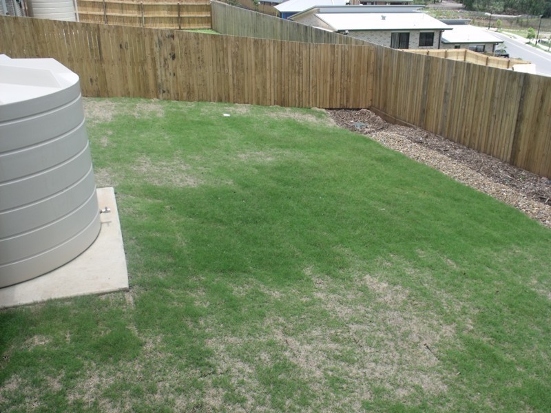 Brassall QLD 4305