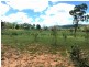 Lot 31, Long Gully Road, Woolshed QLD 4340