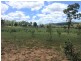 Lot 31, Long Gully Road, Woolshed QLD 4340