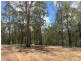 Lot 31, Long Gully Road, Woolshed QLD 4340