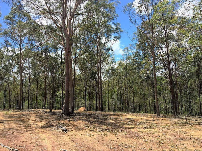 Lot 31, Long Gully Road, Woolshed QLD 4340