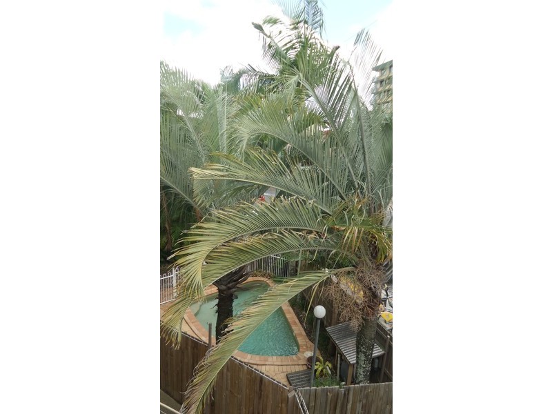 St Lucia QLD 4067