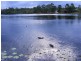 26 Booloumba Crescent, Forest Lake QLD 4078