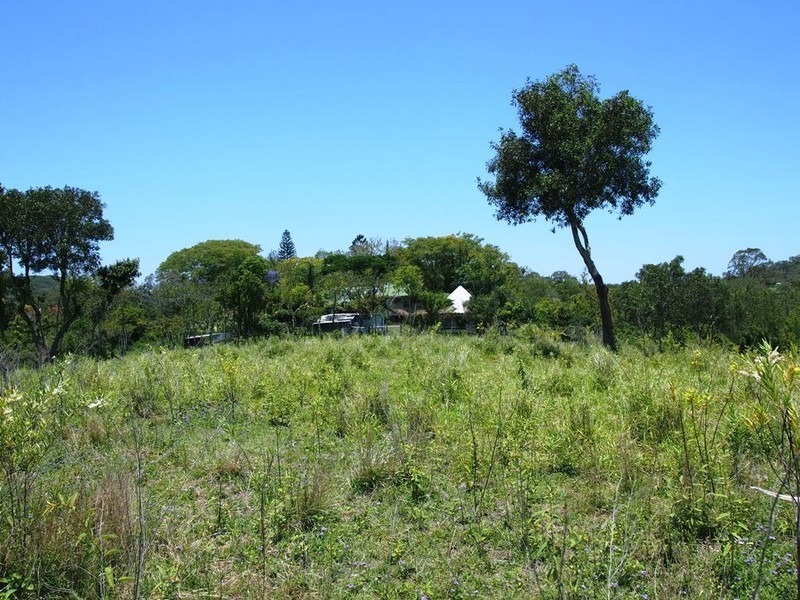 Pine Mountain QLD 4306