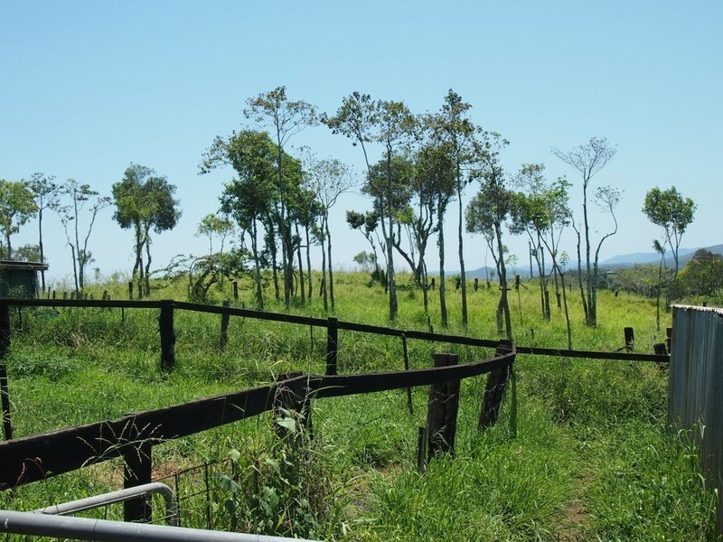 Pine Mountain QLD 4306