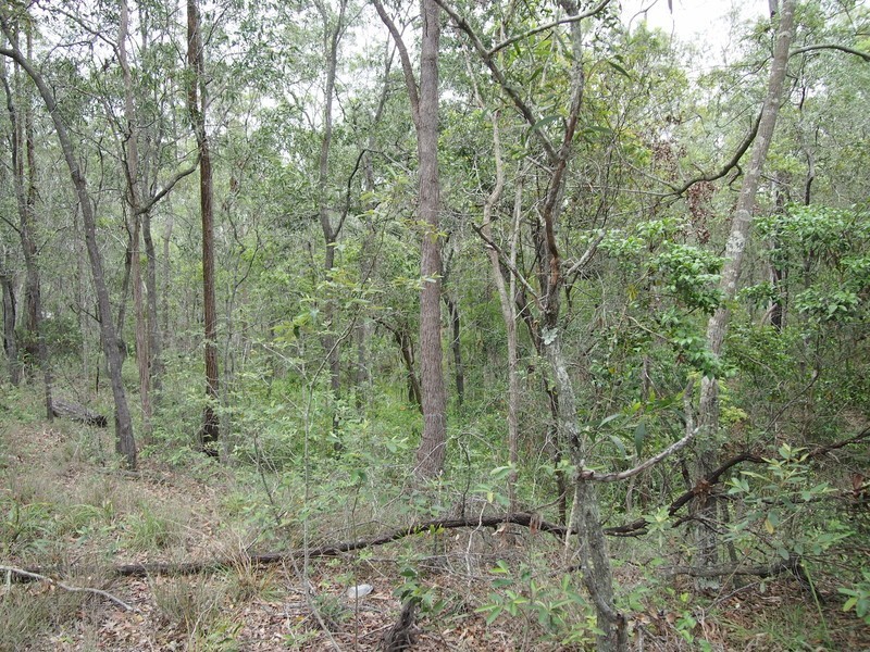 24 Pinot Place, Pine Mountain QLD 4306