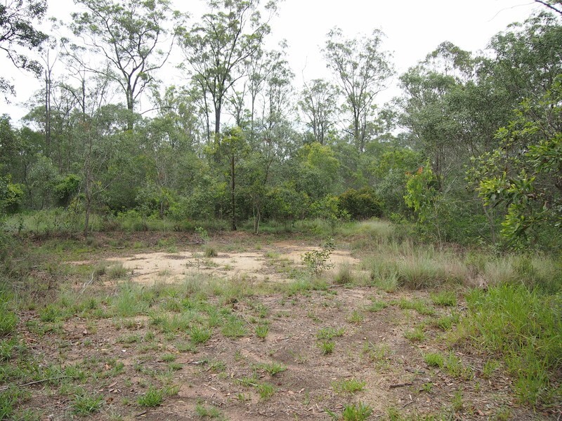 24 Pinot Place, Pine Mountain QLD 4306