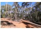 Lot 19 Mountain Scrub Road, Tallegalla QLD 4340
