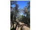 Lot 19 Mountain Scrub Road, Tallegalla QLD 4340