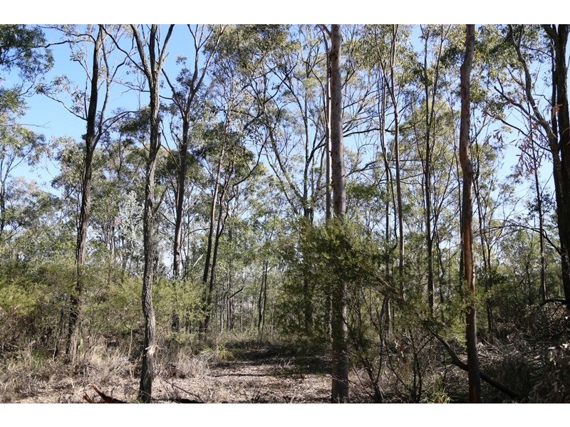Lot 19 Mountain Scrub Road, Tallegalla QLD 4340