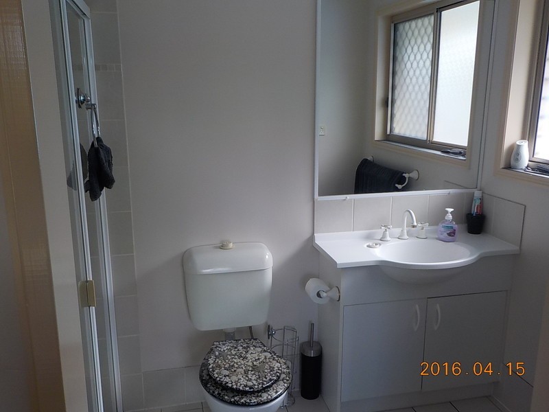 21 Polzin Drive, Goodna QLD 4300