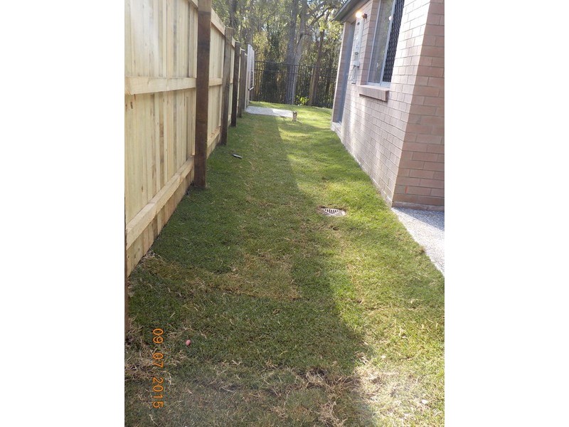 Griffin QLD 4503