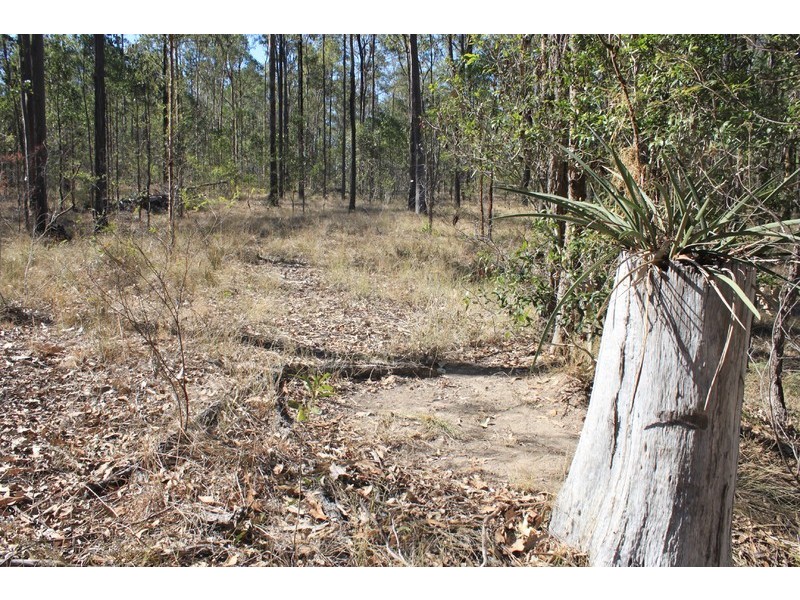 Lot 434, Arborfourteen Road, Glenwood QLD 4570