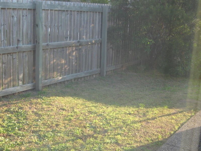 Meadowbrook QLD 4131