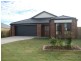 14 Pencarrow Street, Raceview QLD 4305