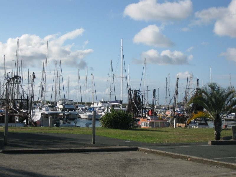 48 Southern Cross Drive, Newport QLD 4020