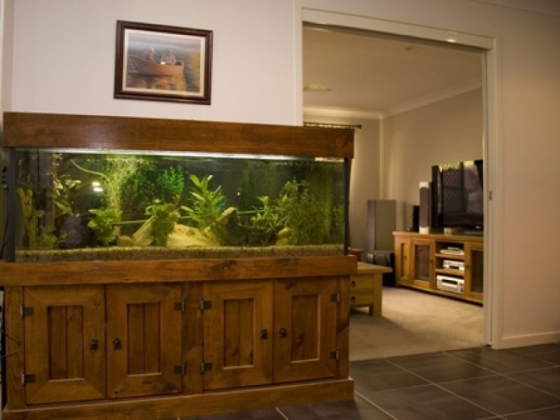 34 Bella Street, Cashmere QLD 4500