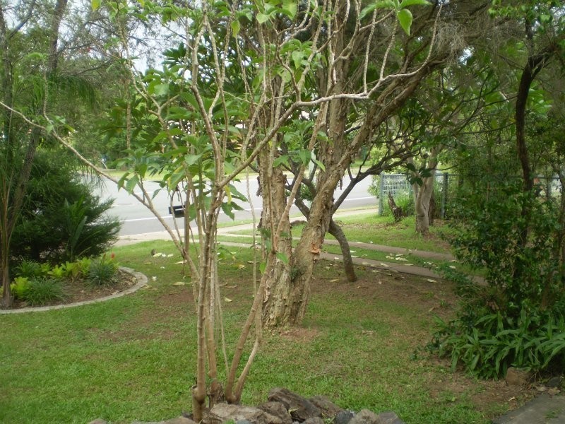 14 Nightingale Road, Lawnton QLD 4501