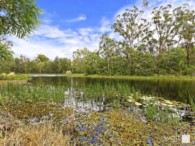 111 Boscoe Road, Narangba QLD 4504