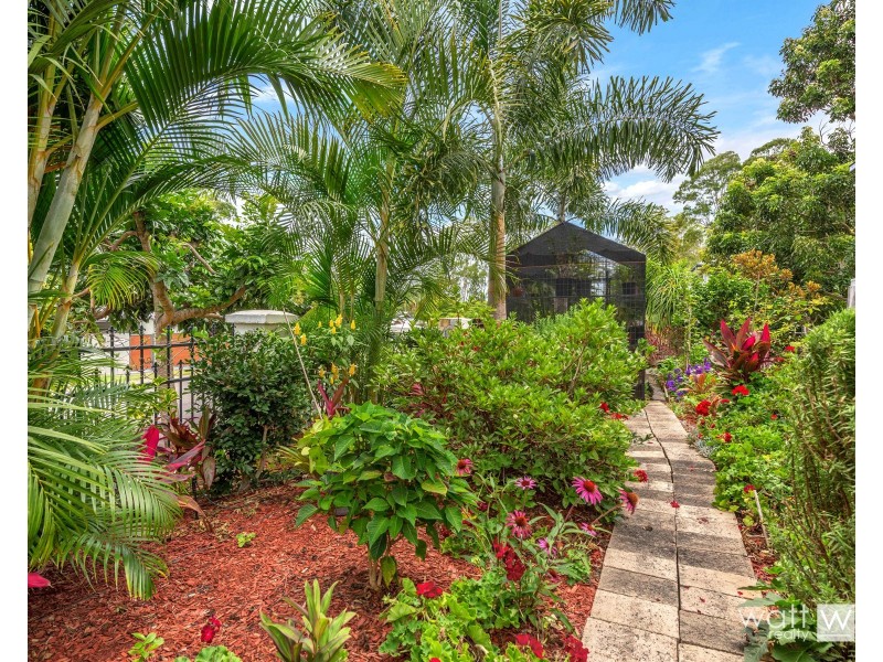 3 Dress Circle Court, Bridgeman Downs QLD 4035