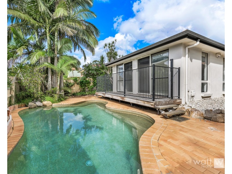 31 Chateau Street, Carseldine QLD 4034