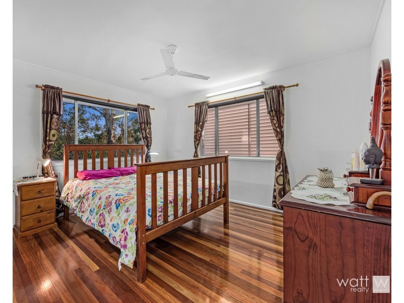 3 Pinnata Court, Everton Hills QLD 4053