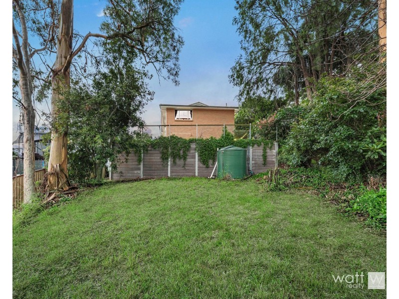 3 Pinnata Court, Everton Hills QLD 4053