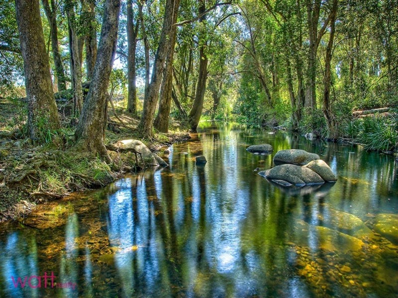 Samford Valley QLD 4520