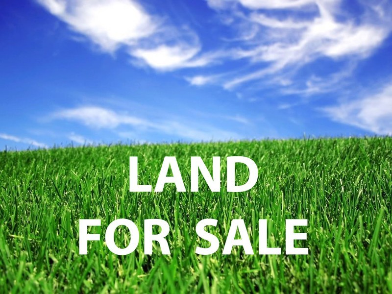 25 Alexander Street, Zillmere QLD 4034