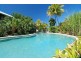81 Cedar Rd, Palm Cove QLD 4879