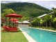 81 Cedar Rd, Palm Cove QLD 4879