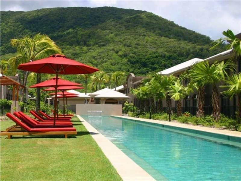 81 Cedar Rd, Palm Cove QLD 4879