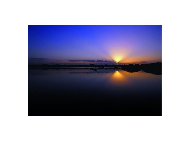 Wentworth Point NSW 2127