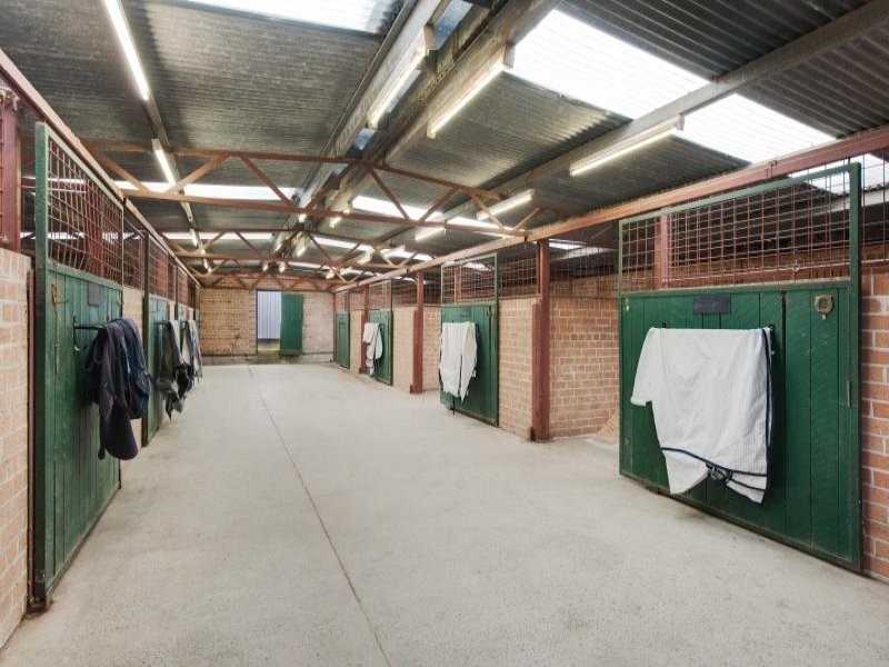 319 Jilliby Road, Jilliby NSW 2259