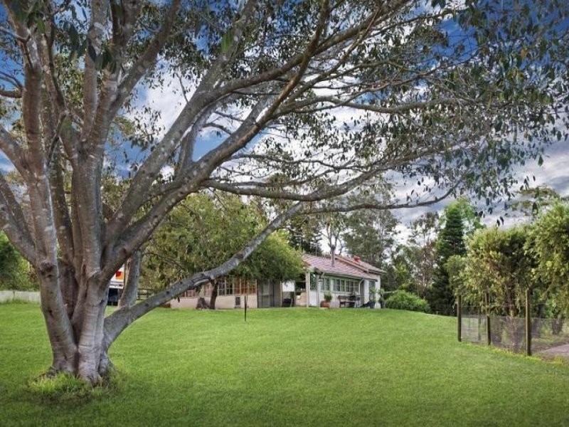 319 Jilliby Road, Jilliby NSW 2259
