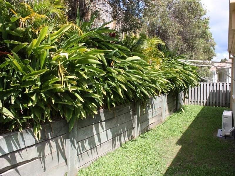 53/2-3 Langport Parade, Mudgeeraba QLD 4213