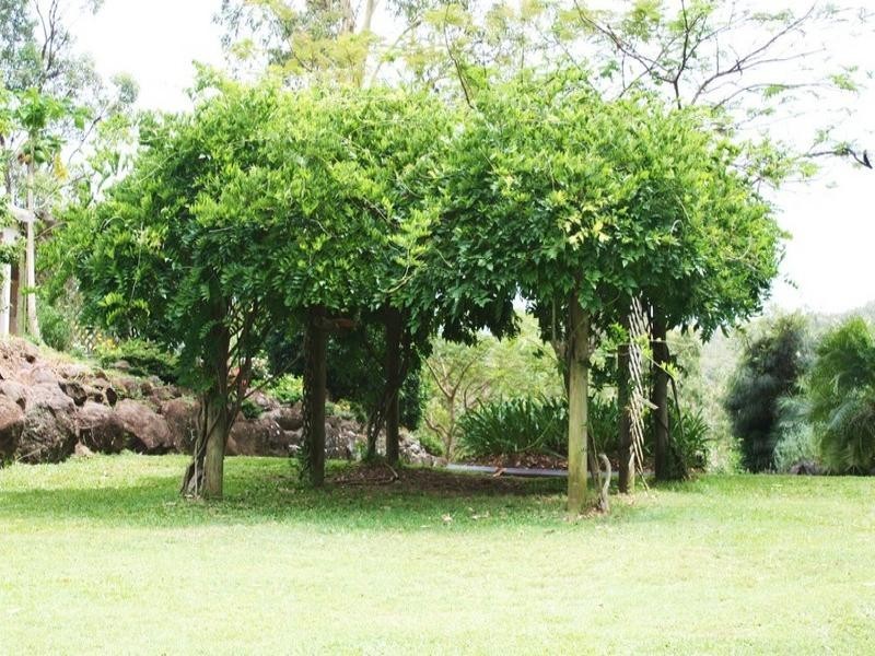 54 Tunbridge Drive, Nerang QLD 4211