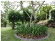 54 Tunbridge Drive, Nerang QLD 4211